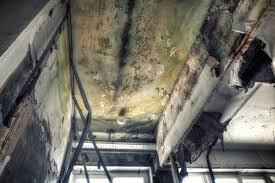 Best Asbestos and Lead Testing During Mold Inspection  in Mineral Springs, AR